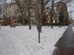 Panorama du parc Minto dans le sens nord. Maisons de brique rouge au loin.