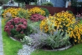 Photographie d’un jardin de pluie