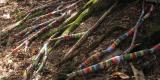 long sticks wrapped in bands of colour and placed in forest