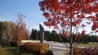 Water plaza at Lansdowne