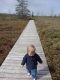 A small child walking on the boardwalk at Mer Bleue.