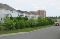 Une plantation dense faite de divers arbres et arbustes offre un écran visuel depuis les cours arrière des résidences vers les aires de service et de chargement d’un centre commercial adjacent.