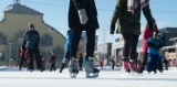 Skating Rink at Lansdowne Park